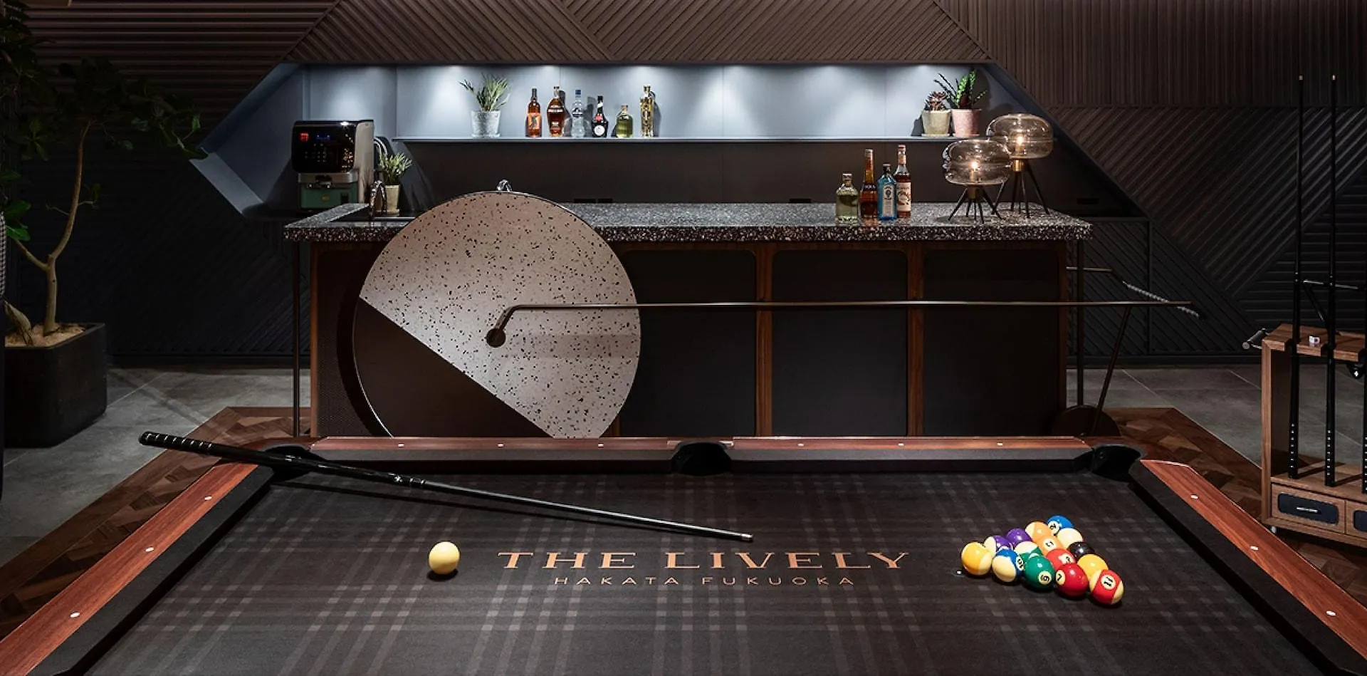The Lively Fukuoka Hakata Hotel